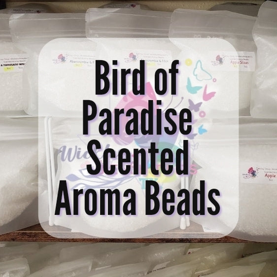 Bird of Paradise Scented Aroma Beads