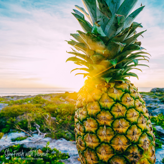 Pineapple Sunrise (BBW Type) Scented Aroma Beads